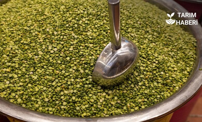 Ege Bölgesi tarım ihracatı