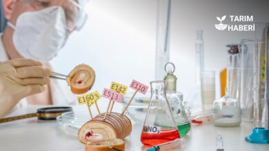 Gıda katkı maddeleri