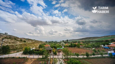 Hobi bahçelerine yaptırım geliyor