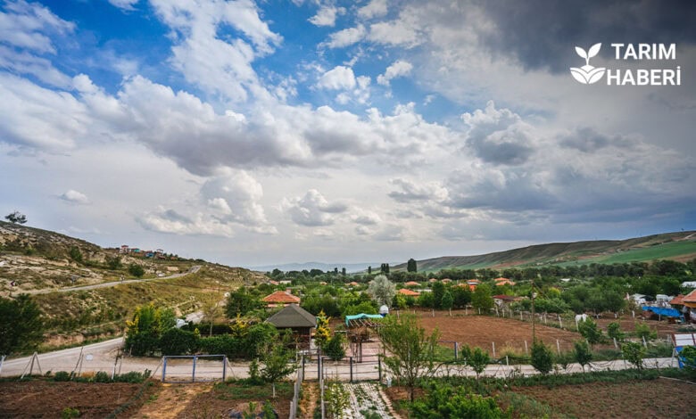 Hobi bahçelerine yaptırım geliyor