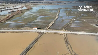 sağanak yağışlar, İç Anadolu Bölgesi'nde hayatı olumsuz etkiledi