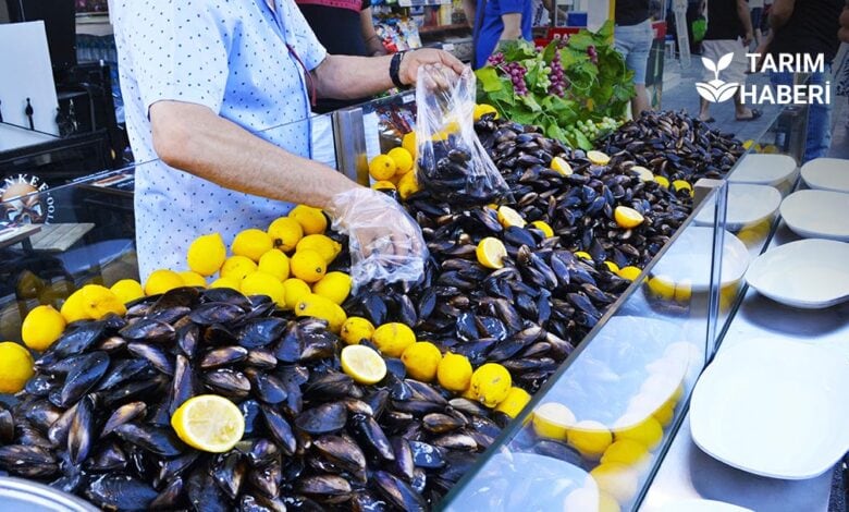 İzmir Tarım Müdürlüğü'nden kaçak midye avcılarına uyarı