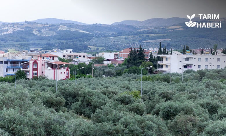 Kuşadası'nda koruma altındaki tarım arazileri imara açılıyor