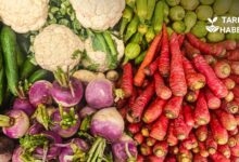 TARIM-ÜFE Ocak 2026 raporu