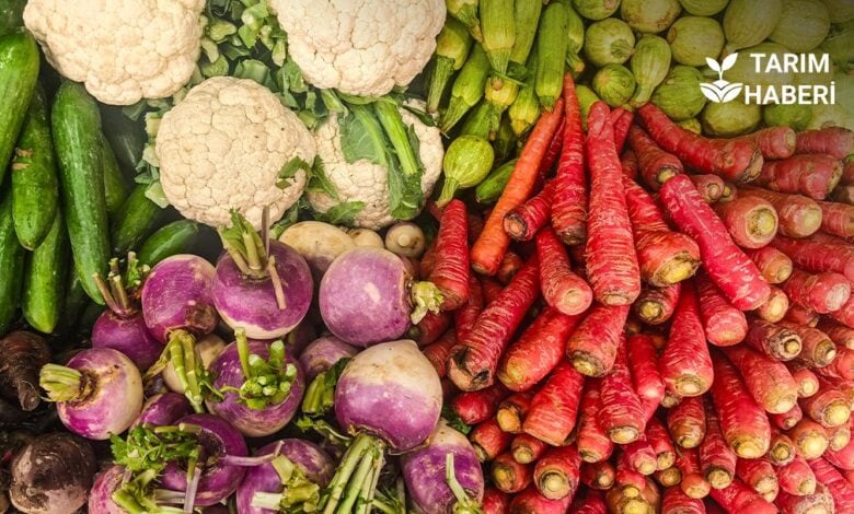 TARIM-ÜFE Ocak 2026 raporu