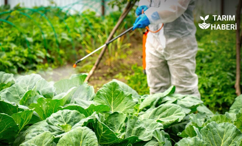 Türkiye'de Ruhsatlı, AB'de Yasaklı: Tarım İlaçları