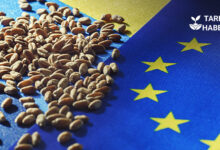 Ukrayna AB katılımı riskleri ve fırsatları