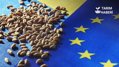 Ukrayna AB katılımı riskleri ve fırsatları