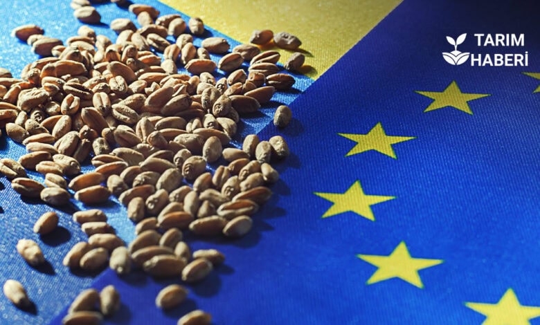 Ukrayna AB katılımı riskleri ve fırsatları