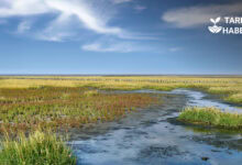 Avrupa Birliği Çevre ve İklim Projeleri İçin 103 Milyon Euro Fon Ayırdı