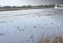 TZOB Başkanı Şemsi Bayraktar Afetzede Çiftçiler İçin Acil Destek İstedi