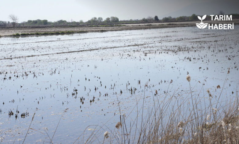 TZOB Başkanı Şemsi Bayraktar Afetzede Çiftçiler İçin Acil Destek İstedi