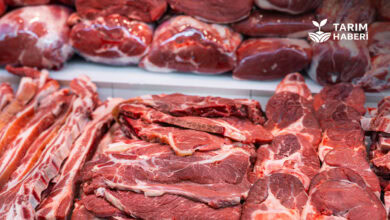 Dana karkas et fiyatları arttı