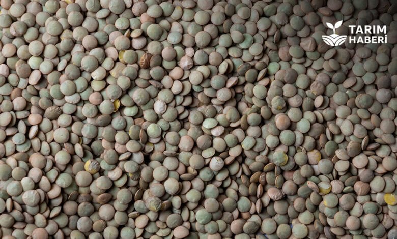 Temel Gıda Ürünlerinde İhracat ve İthalat Kuralları Değişti