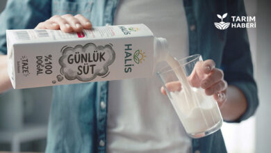 Günlük süt etiketi