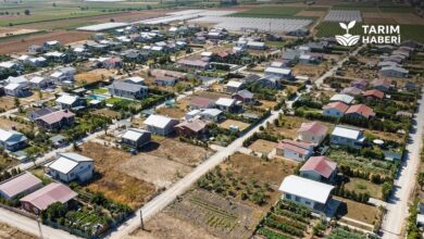 Hobi bahçesi olanlara ağır cezalar geliyor