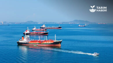 Hürmüz Boğazı petrol krizi