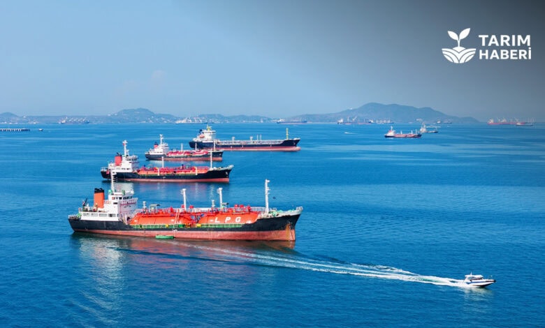 Hürmüz Boğazı petrol krizi