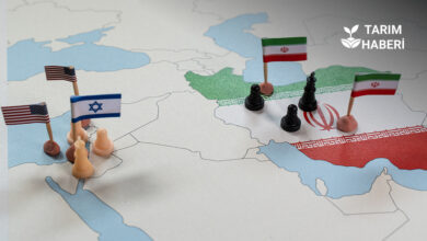 İran, İsrail, ABD savaşının tarıma etkileri