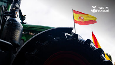 İspanya tarım destek paketi