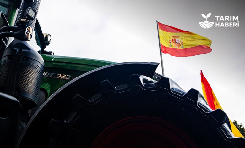 İspanya tarım destek paketi
