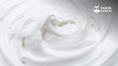 Krema ismi kremsos olarak değişiyor