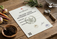 Organik Tarım Müteşebbis Sertifikası