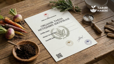 Organik Tarım Müteşebbis Sertifikası