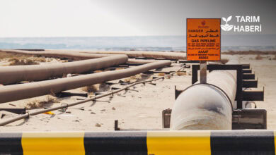 Savaş petrol fiyatlarını artırdı