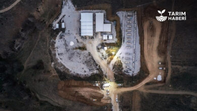 Söğüt altın madeni grevi