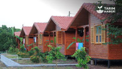 Tarım arazilerine yeni torba yasa teklifi