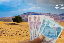 Tarım Bakanlığı kırsal kalkınma bütçesi