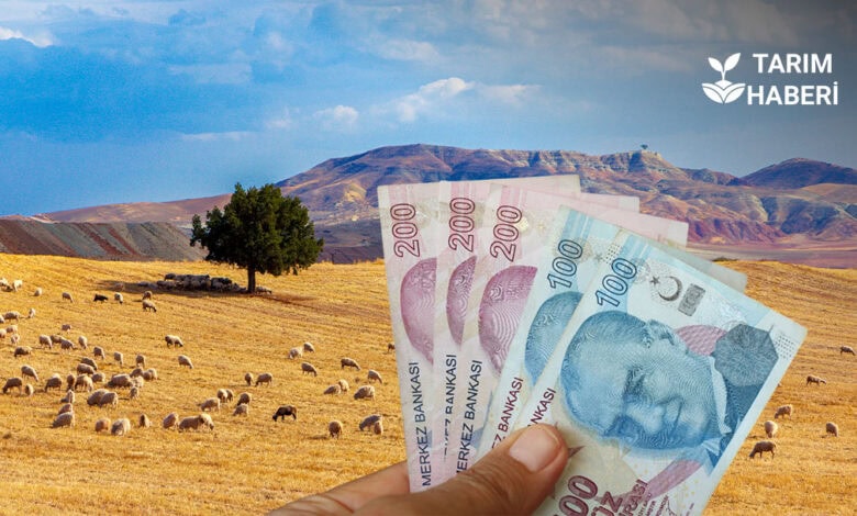 Tarım Bakanlığı kırsal kalkınma bütçesi