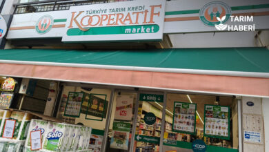 Tarım Kredi Market 2-12 Mart indirimli aktüel katalog