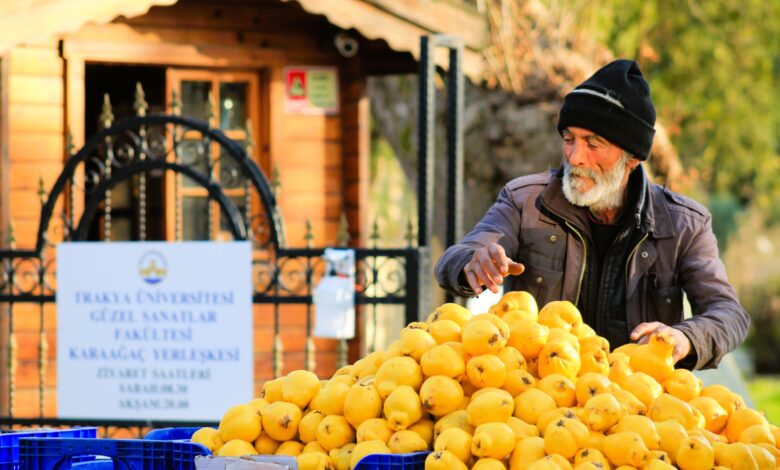 Edirne'de 210 Futbol Sahası Büyüklüğünde Tarım Alanı Yandı