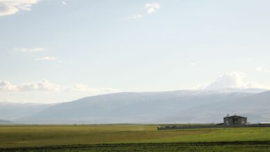 Ardahan'da Sağanak Yağış Tarım Arazilerine Zarar Verdi Ardahan'da Sağanak Yağış Tarım Arazilerine Zarar Verdi