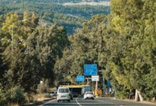 Dalaman'da Tarım Alanında Çıkan Yangın Hızla Söndürüldü
