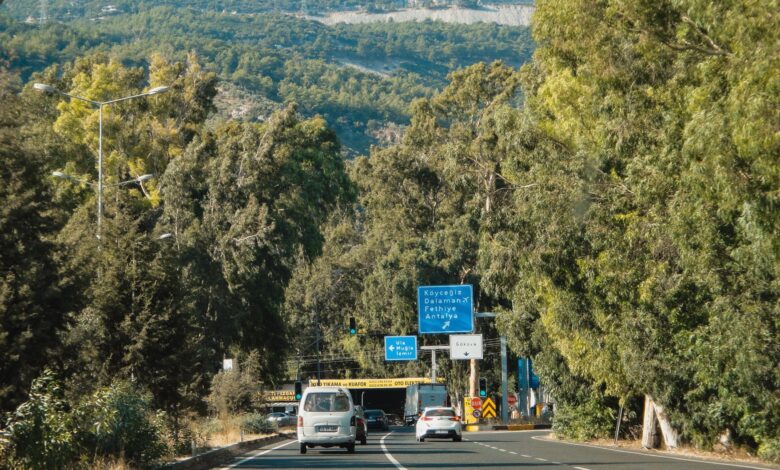 Dalaman'da Tarım Alanında Çıkan Yangın Hızla Söndürüldü Dalaman'da Tarım Alanında Çıkan Yangın Hızla Söndürüldü
