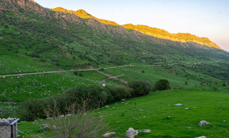 Erbil Tarım Müdürü: Kürdistan Bölgesi Ürünlerinin %66'sı İhracata