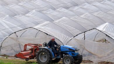 Tarım Dairesi Gazimağusa'da Seracılara Yönelik Bilgilendirme Toplantısı Düzenledi Tarım Dairesi Gazimağusa'da Seracılara Yönelik Bilgilendirme Toplantısı Düzenledi