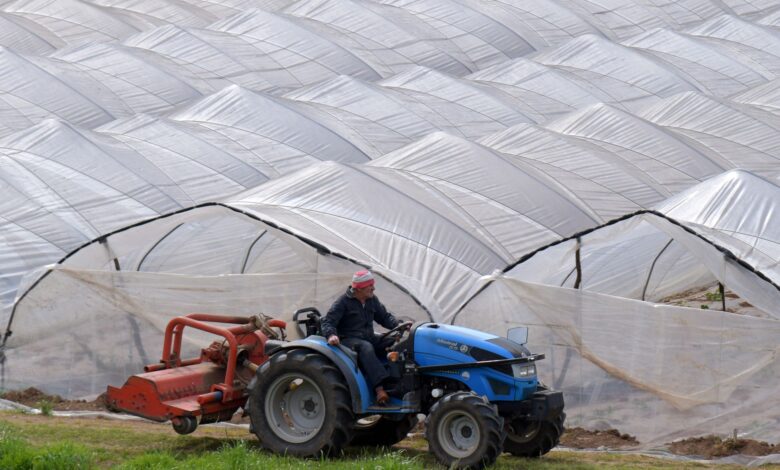 Tarım Dairesi Gazimağusa'da Seracılara Yönelik Bilgilendirme Toplantısı Düzenledi Tarım Dairesi Gazimağusa'da Seracılara Yönelik Bilgilendirme Toplantısı Düzenledi