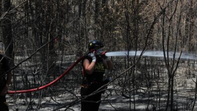 Muğla'da Tarım Arazisinden Başlayan Yangın Ormana Sıçradı Muğla'da Tarım Arazisinden Başlayan Yangın Ormana Sıçradı