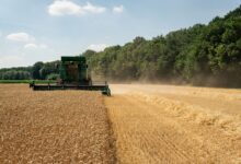 Tarım Sektör Temsilcileri Bir Toplantı Gerçekleştirdi