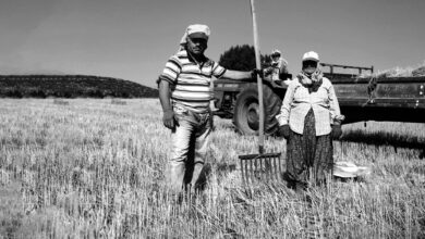 Aydın'ın 17 İlçesindeki Üreticiler Tarım Gündemiyle Toplanacak Aydın'ın 17 İlçesindeki Üreticiler Tarım Gündemiyle Toplanacak