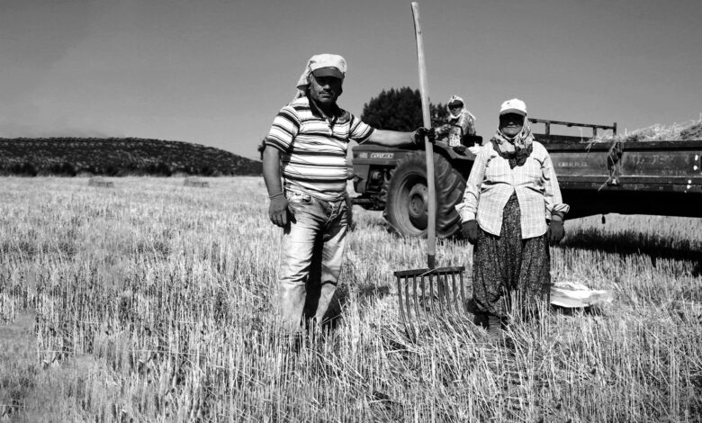 Aydın'ın 17 İlçesindeki Üreticiler Tarım Gündemiyle Toplanacak Aydın'ın 17 İlçesindeki Üreticiler Tarım Gündemiyle Toplanacak