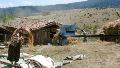 Bakan Yumaklı: Türkiye'de 140 Milyon Ton Rekor Hasat Bekleniyor