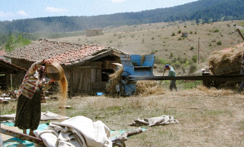 Bakan Yumaklı: Türkiye'de 140 Milyon Ton Rekor Hasat Bekleniyor