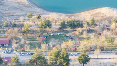 Bodrum'da Gençlik ve Tarım Kampı'nın Üçüncü Dönemi Bitti Bodrum'da Gençlik ve Tarım Kampı'nın Üçüncü Dönemi Bitti