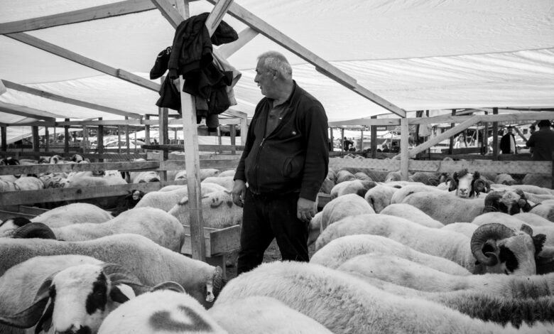 Çorlu Tarım Fuarı 15 Ağustos'a Kadar Ziyaretçilerini Ağırlayacak Çorlu Tarım Fuarı 15 Ağustos'a Kadar Ziyaretçilerini Ağırlayacak