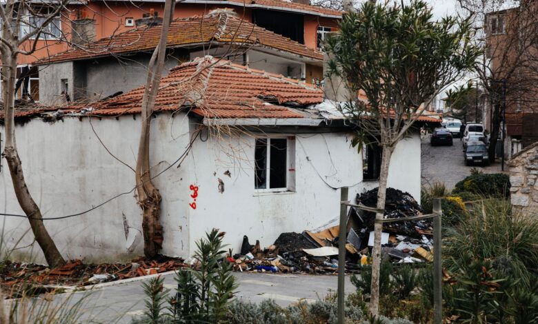 İzmir'de tarım arazisinde başlayan yangın ormana sıçradı